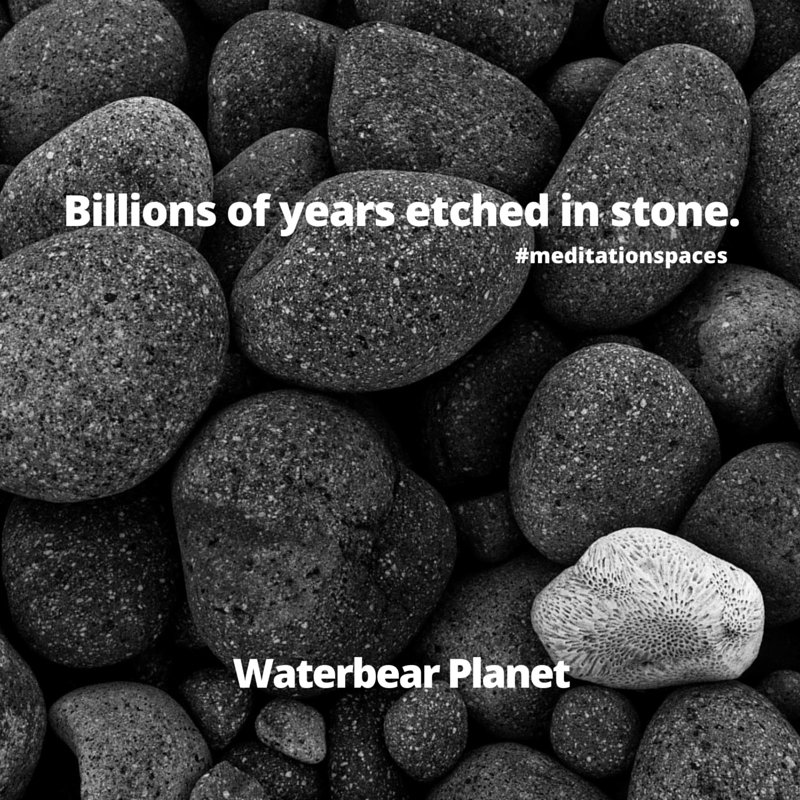 waterbearplanet's tweet photo. Next time you pick up a stone remember this. #meditationspaces #experientialspaces #geology https://t.co/T8SLHXkAwH