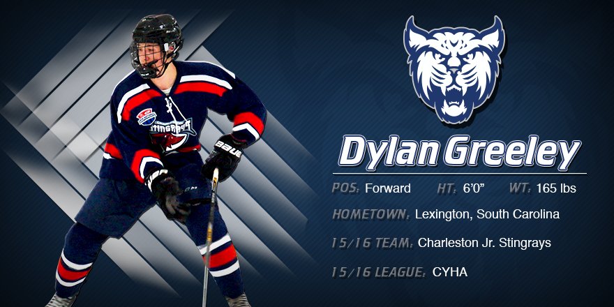 NHIceCats's tweet photo. We are proud to announce the signing of forward, Dylan Greeley for this upcoming season! #NHIcecats https://t.co/mdDsCqYjMK