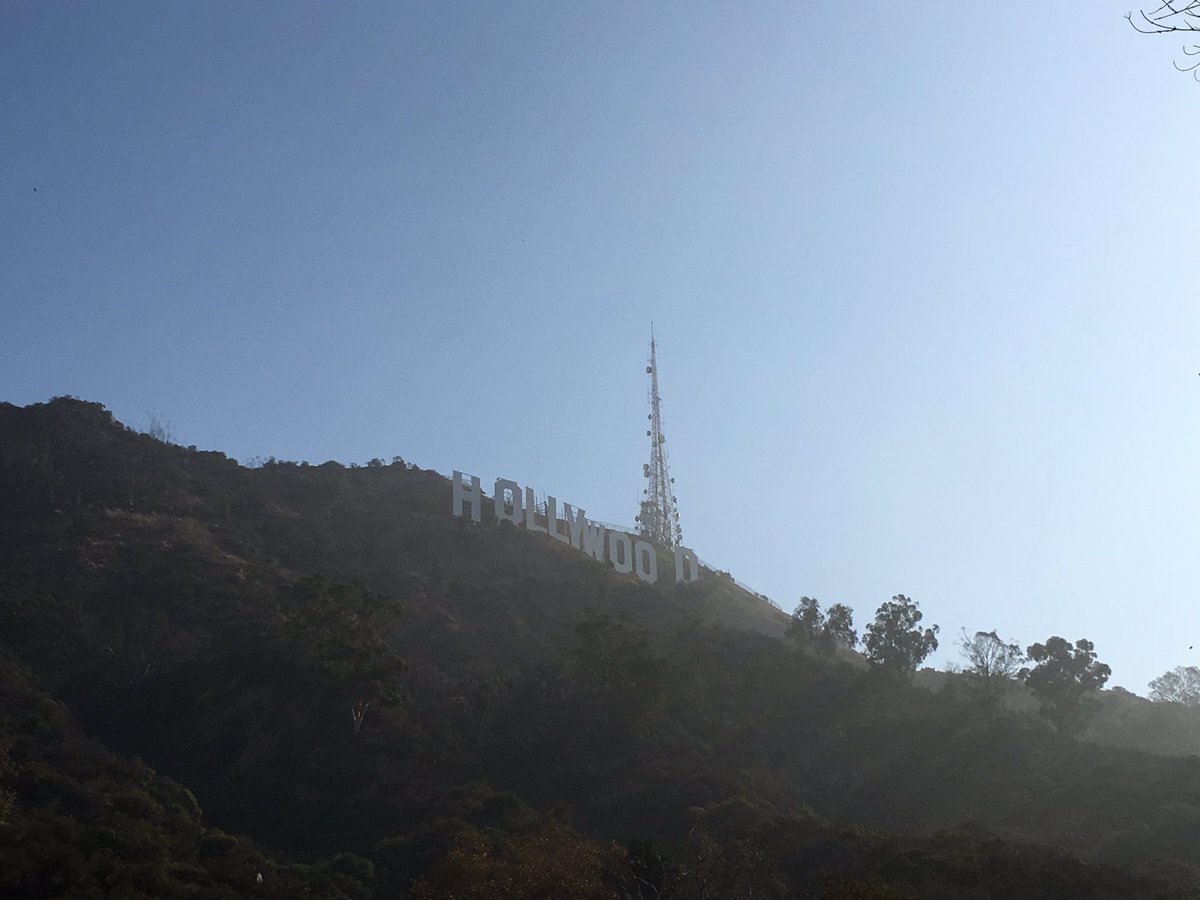 MrMikesOnline's tweet photo. Went all the way up! #HollywoodSign #CaesarChallenge - WooHooGuy https://t.co/8uy1qvrY1M