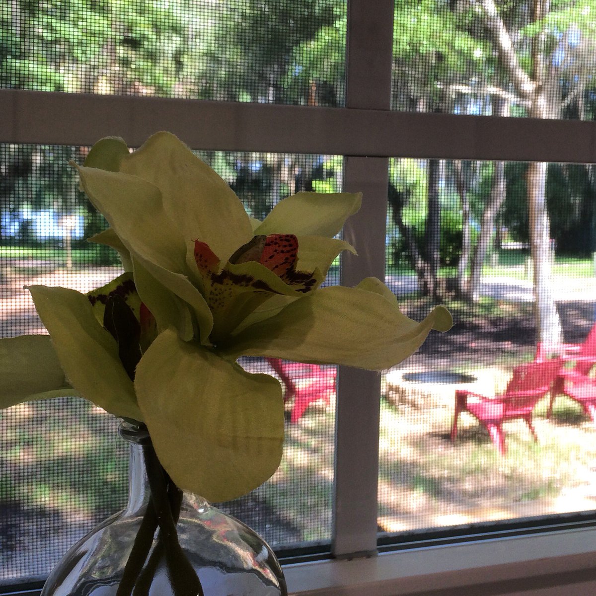 ElisabethWriter's tweet photo. Doing research for a possible book series #writinglife #workampinglife #rvlife https://t.co/VSUgcLOk4t