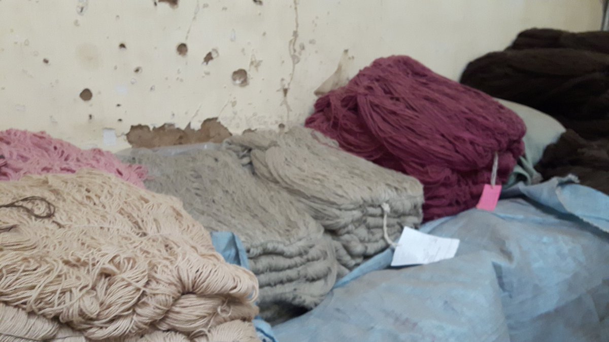 Ninoskagh's tweet photo. #COPROCA empresa propiedad ganaderos de Alpaca, cubre toda la cadena y busca ampliar mercado,1er contacto @Agriterra https://t.co/geAMvN04Wj