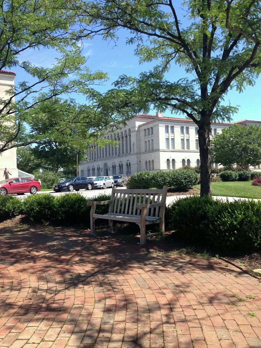 CUAlibraries's tweet photo. It's a lovely day to pick a nice bench on campus and get some work done outside. #cua #cualibraries #howiseecua https://t.co/44cSSmGTDg