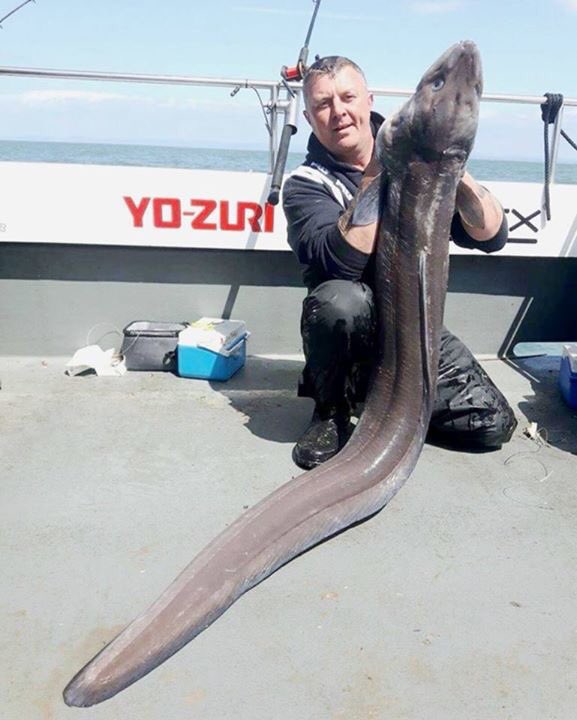 wwcharters's tweet photo. Not just a shark boat #welshrecord #conger #oldgreg https://t.co/MjjIuMe4p4