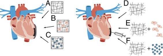 Innovation2's tweet photo. Building a bionic cardiac patch #cardiacpatch #bioniccardiacpatch #harvard https://t.co/NjbEKAxY7p https://t.co/wWWiJS1hdE