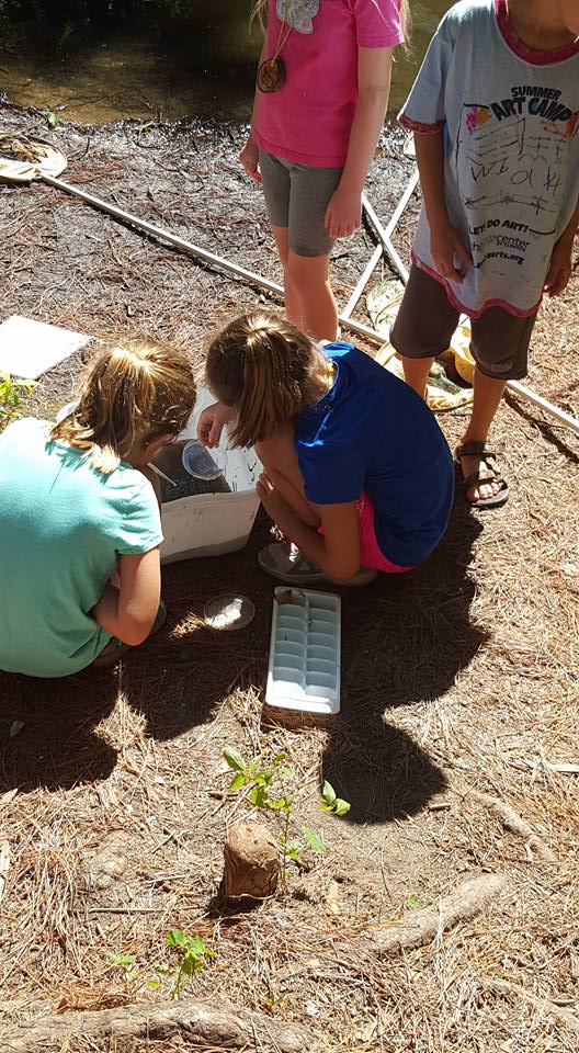 Garden Exploration Camps are taking place now. Don't miss out - Register clemson.edu/public/scbg/Ca…