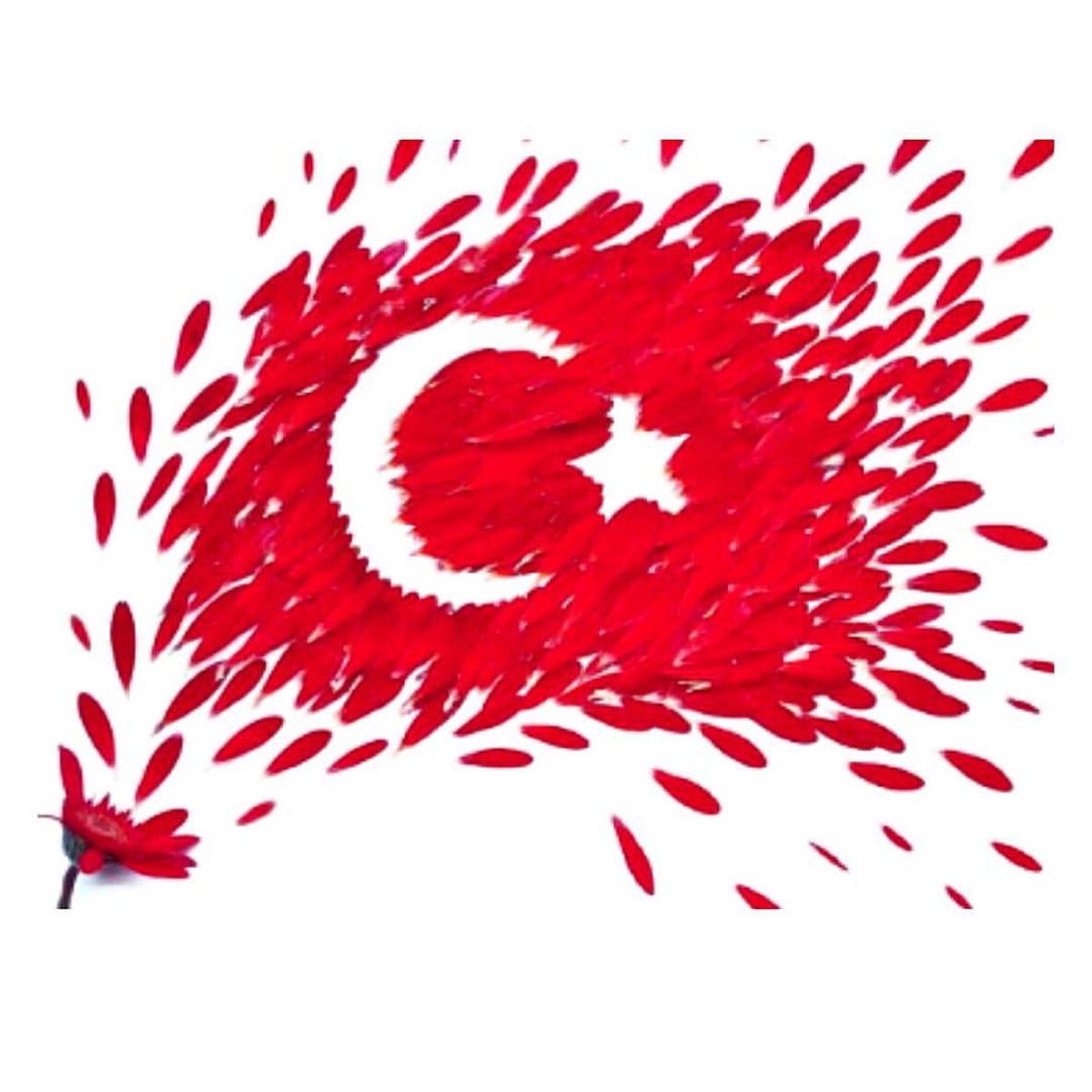 aytinglicious's tweet photo. @aytingnew92 @aytinglicious #PrayForTurkey https://t.co/ISImnlnnSq