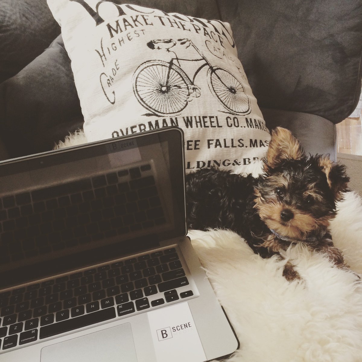 bscenemediainc's tweet photo. Work Life #VideoPromotion #HaveYouScene #MTL https://t.co/6GE8NP4fis