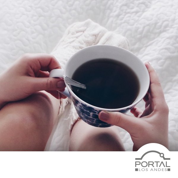 PortalLosAndes's tweet photo. Nada como un rico té para estos días de mucho frío <3 https://t.co/xWU288SwsQ