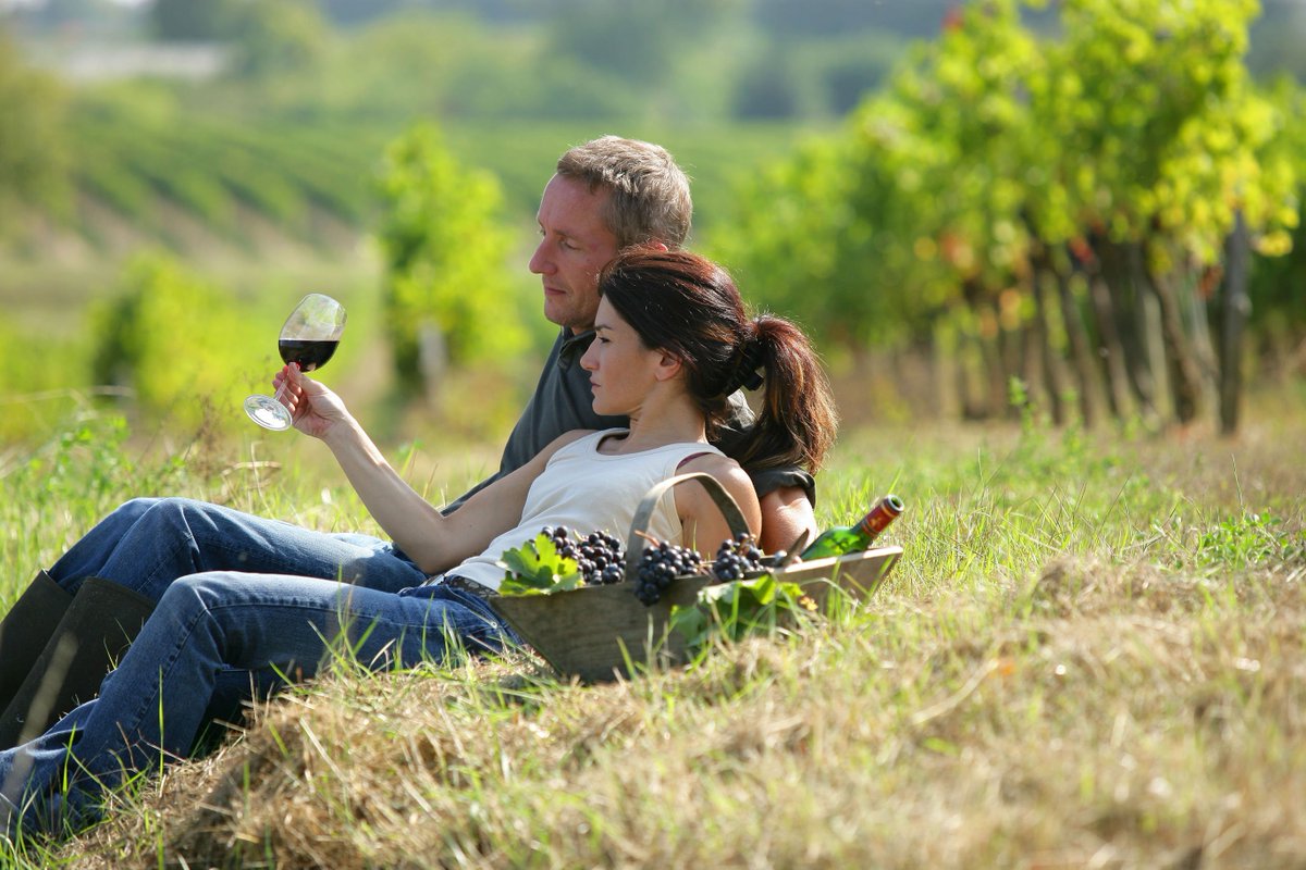 Chilexplora's tweet photo. Si eres apasionado por el vino o quieres aprender más acerca de él. Chile es el lugar.
contacto@infotourchile.cl https://t.co/yBWlk2Lvj8