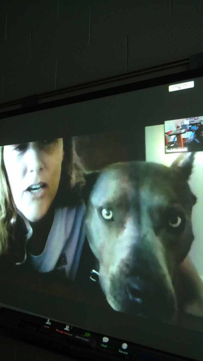 We loved learning from Elle and Leah today #ELLEthepitbull #dmmsprincipal