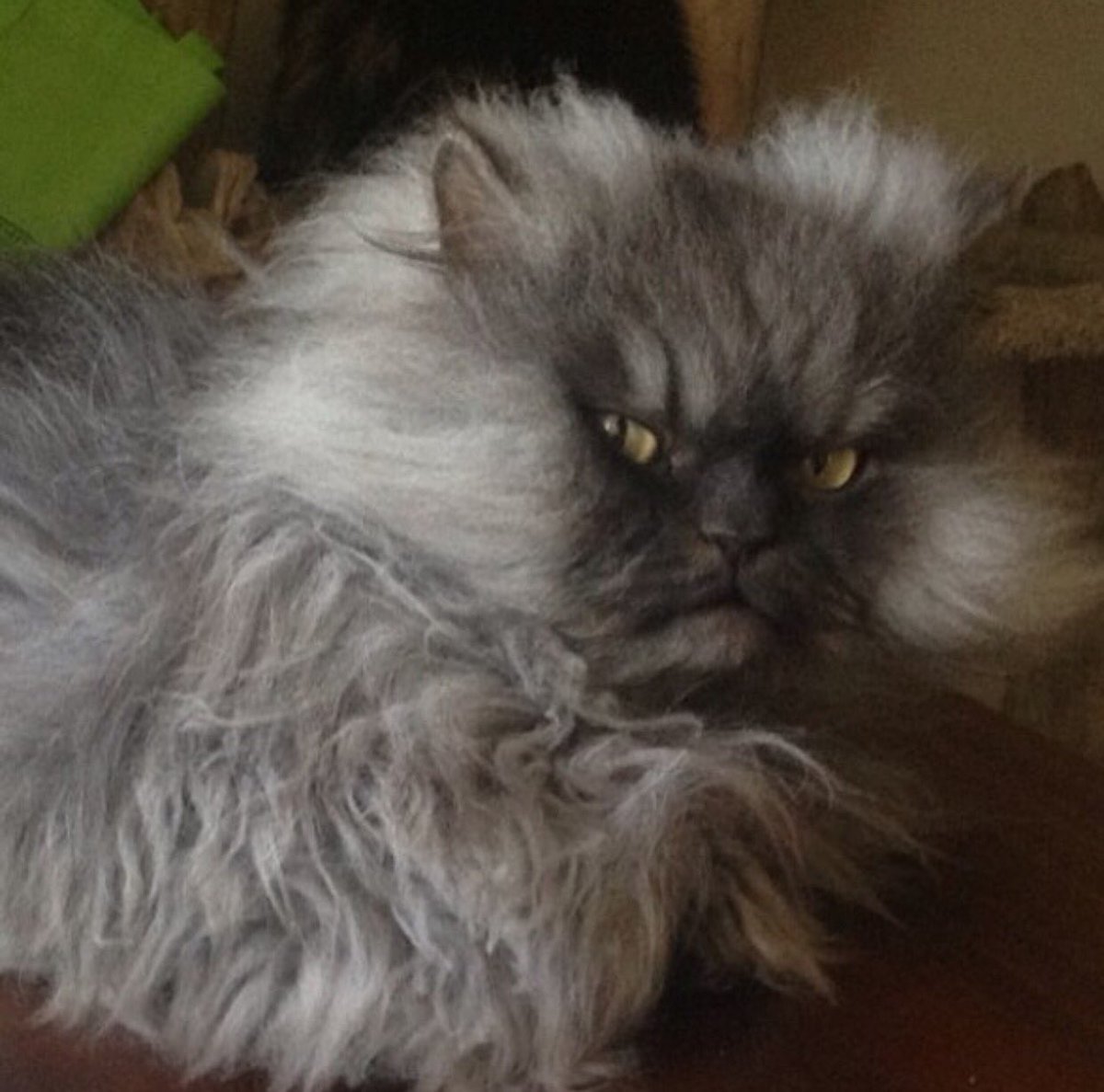 mopoconn's tweet image. Me at 745am this morning when a full mariachi band greeted me on the subway #1downtown