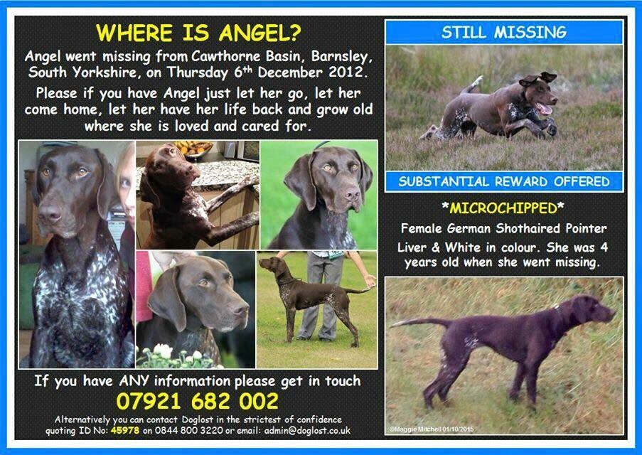 Lisa198335's tweet photo. Please RT #FindAngel #FindMissingAngel #Stolen #Barnsley 06/12/12 Help @FIND_ANGEL4 get her huge tweets TY https://t.co/klDv4b5Vua