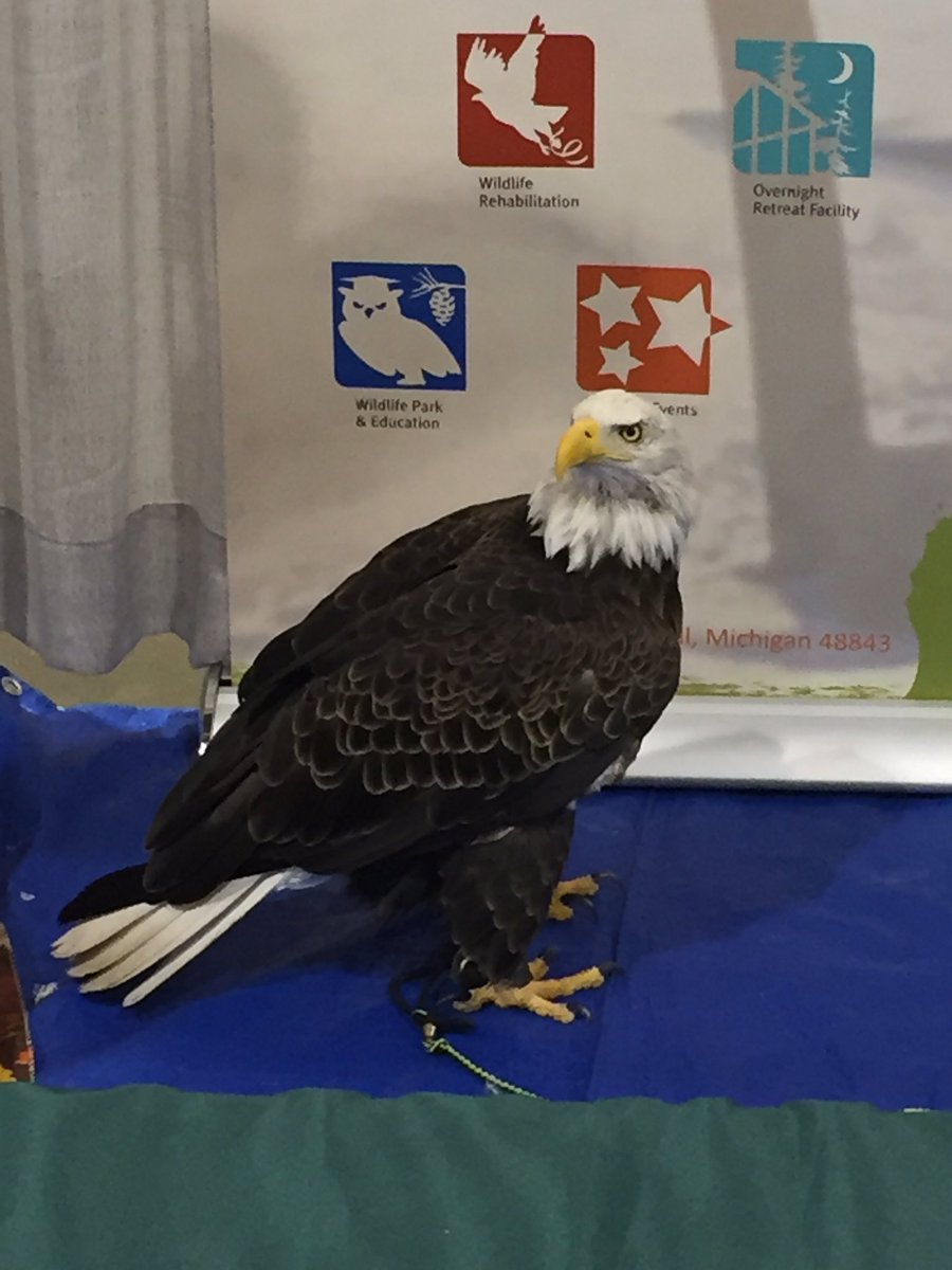 sarahmhillard's tweet photo. Beautiful!  #micpashow https://t.co/rLxDRvJcps