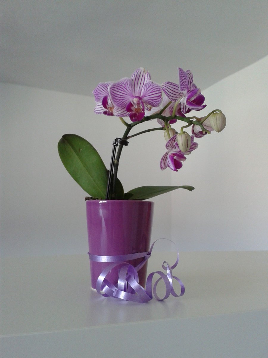 Gy_Reka's tweet photo. Gift from a #satisfiedcustomer https://t.co/EXkvbLjz8Q