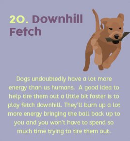 CopelandsPets's tweet image. Is your baby a ball of energy? Try playing fetch downhill! #pethack #copelandspets