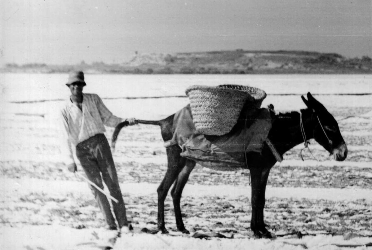 Cyprus_Pictures's tweet photo. #Cyprus
1966 https://t.co/uyMHwd6oYI