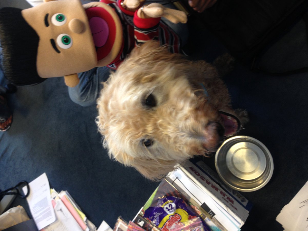 HarryPuppetRICH's tweet image. I've been educating @CurrieJeffnell on homelessness this afternoon!