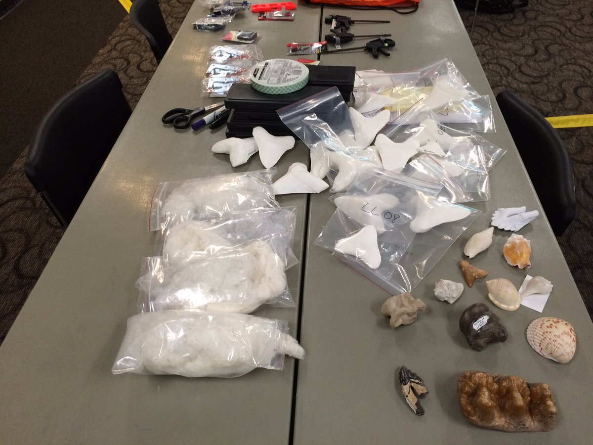 surfrteach's tweet photo. #idigfossils kicking off this week... STEM integration powered by 3D digitization &amp; printing-https://t.co/KHWepTt76q https://t.co/HnHk9rvCuq