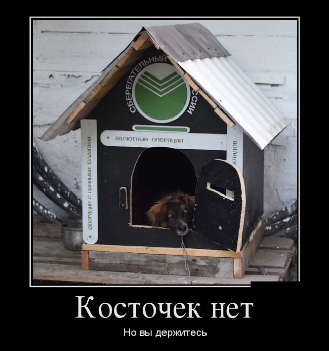 prikolnuha's tweet photo. #юмор #шутки #приколы - Демотиваторы https://t.co/prLUFL7I7b