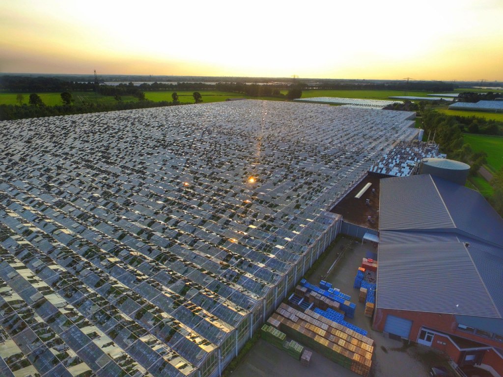 Rabobank helpt door noodweer getroffen boeren ed.nl/regio/eindhove…