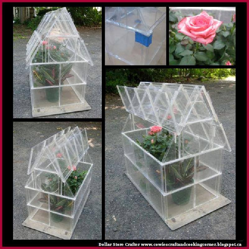 CowiesCrafts's tweet image. Turn Dollar Store CD Cases Into A Greenhouse
LINK&amp;gt;&amp;gt;…wiescraftandcookingcorner.blogspot.ca/2016/04/turn-d… #greenhouse #repurposing #cdcases