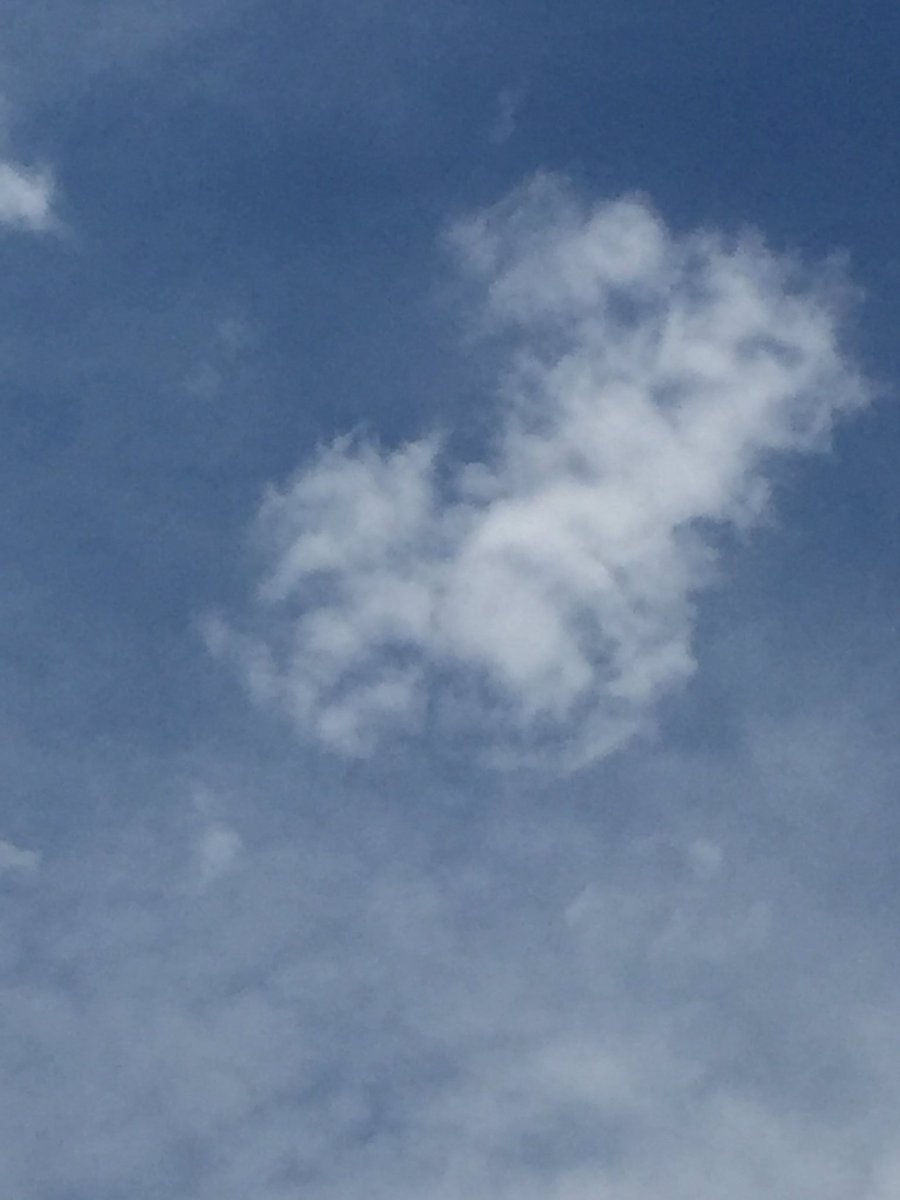 RawbCharles's tweet photo. Idk if it's from exhaustion and 2 weeks of music buttttt.... @bassnectar is in the sky @bassnectar ⛅️🌀 https://t.co/QtmNJlEGne