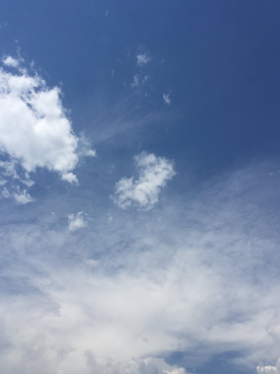 RawbCharles's tweet photo. Idk if it's from exhaustion and 2 weeks of music buttttt.... @bassnectar is in the sky @bassnectar ⛅️🌀 https://t.co/QtmNJlEGne