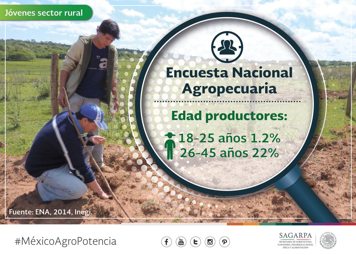 Mely_Romero's tweet photo. 23% de productores del campo tiene entre 18 y 45 años. SAGARPA implementa acciones a favor de los jóvenes rurales. https://t.co/8zDPZXXvZY