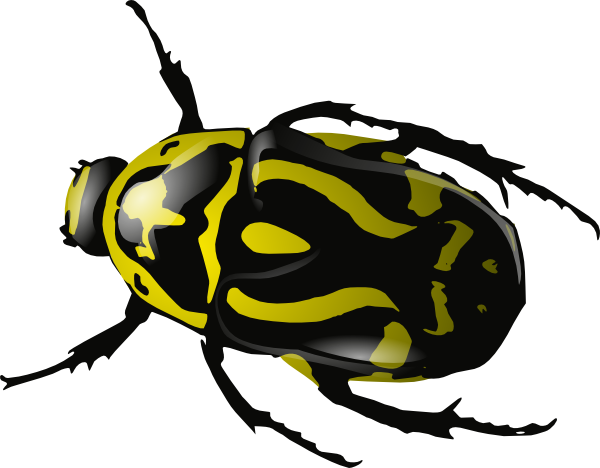 digikey's tweet photo. Engineers to Use #Cyborg Insects as #Biorobotic #Sensing Machines https://t.co/aukrF4bXcm https://t.co/686WFgtAT4