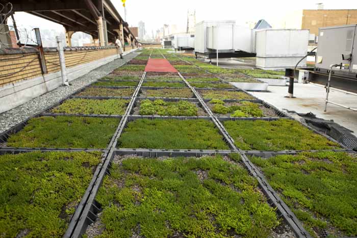 RoofRocket's tweet image. Green Roofs and Planning bit.ly/29pPegX #GreenRoof #RoofRocket