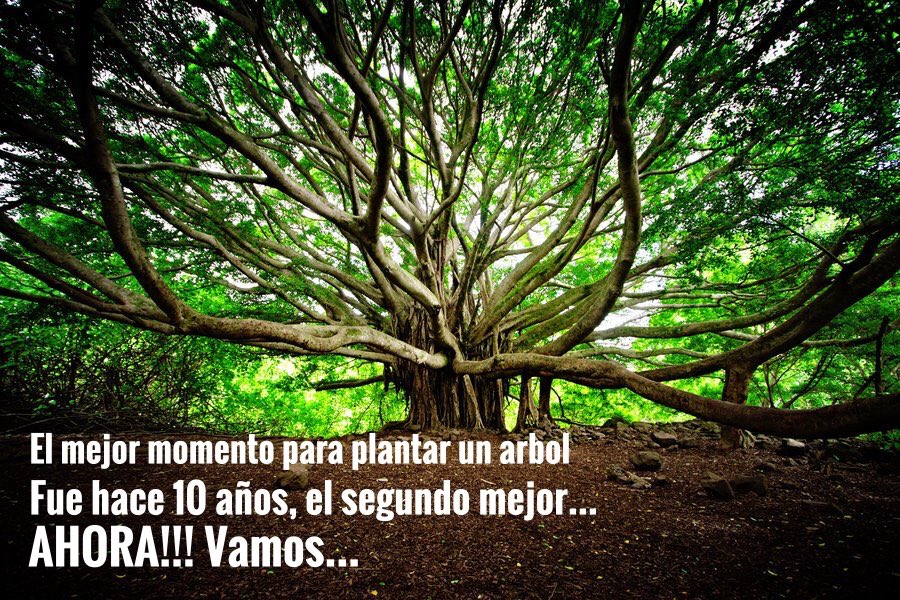 EsBLUEBOXco's tweet photo. Empieza ya, no lo dudes mañana, esta noche, #AHORA vamos!! #emprendedores #go #socialmedia #boxblue #FelizDia https://t.co/NXVfpvgVON