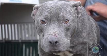 Sometimes being a hero means performing many small acts rather than one grand one. . . orv.is/29aHR0c