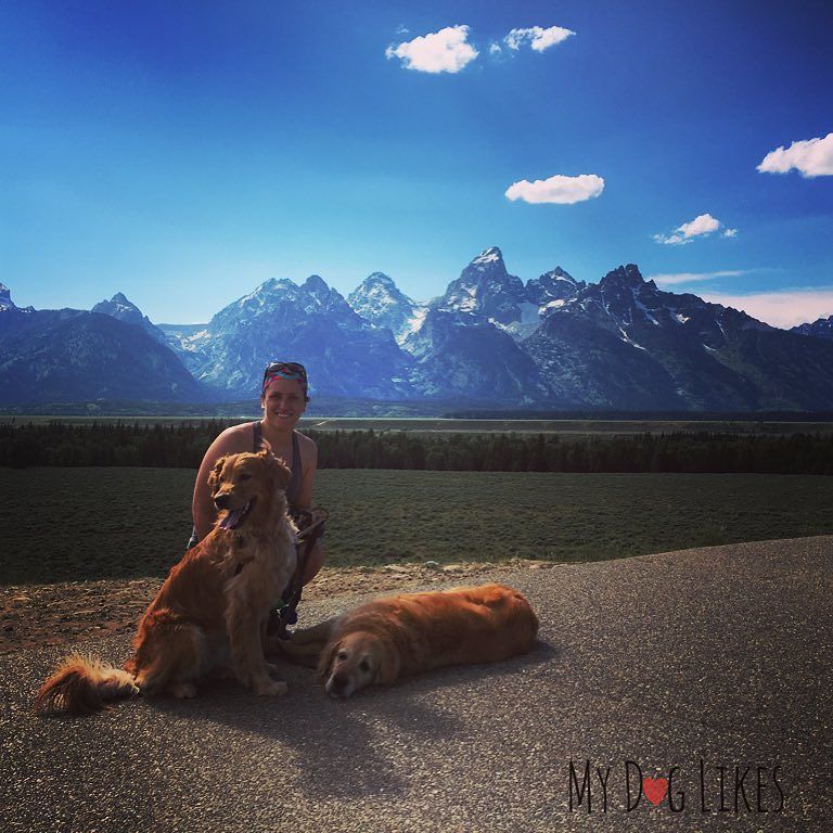 MyDogLikes's tweet photo. Grand Teton is pretty amazing!! #mydoglikesamerica https://t.co/sibgr86THJ https://t.co/09wRRAlxDv