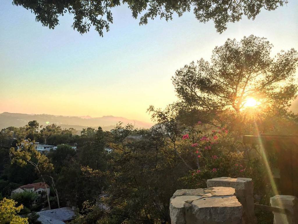 More hikes #nofilter #HollywoodHills #Sunset #glowingtree ift.tt/291pdTg