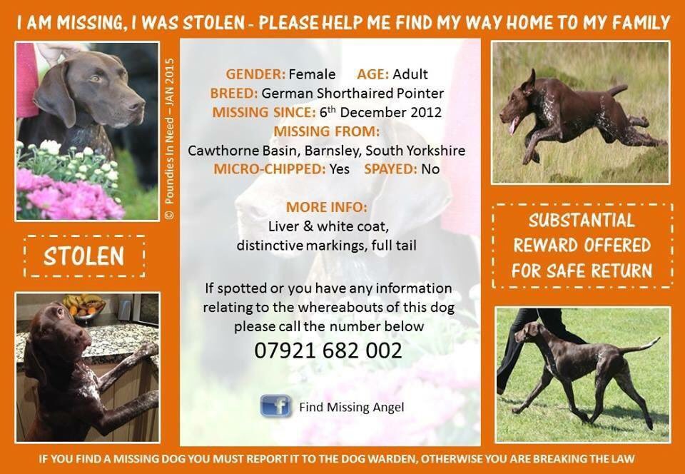 lostmissingsto2's tweet photo. Please RT #FindAngel #FindMissingAngel #Stolen #Barnsley 06/12/12 Help @FIND_ANGEL4 get her huge tweets @DogsTrust https://t.co/x8sRARl0iL