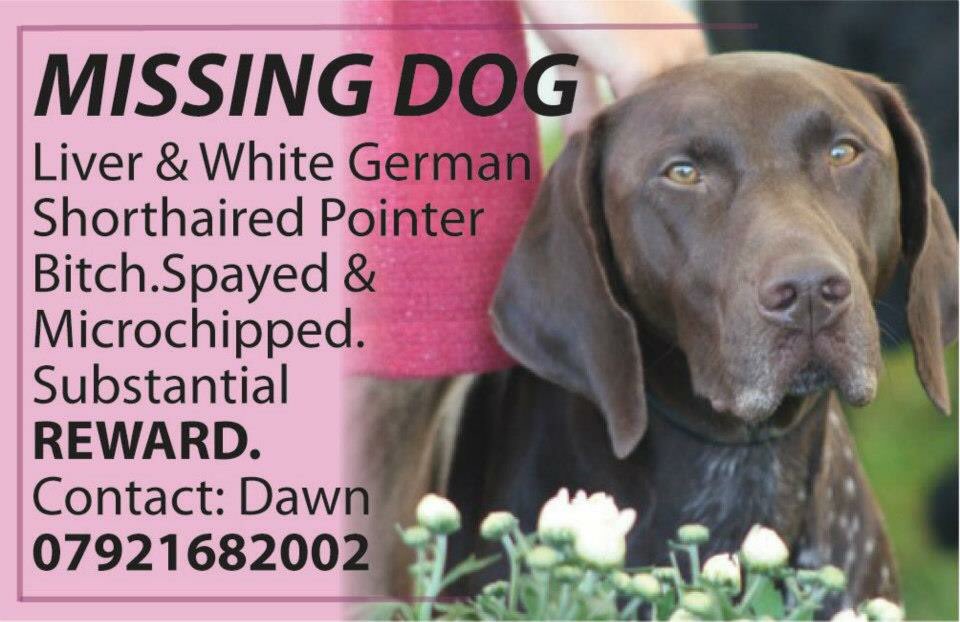 LostboxUK's tweet photo. RT @helping2reunite: Pls RT to remind folk to keep looking for #findmissingangel. She should be at home #findangel https://t.co/BdQ6u3jgmC