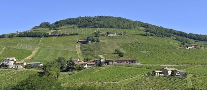 LePoint's tweet photo. #Beaujolais : les lieux-dits des 10 crus - Première partie https://t.co/yD2k3aazrk par @Dupont_LePoint https://t.co/ykhLM2tBoJ