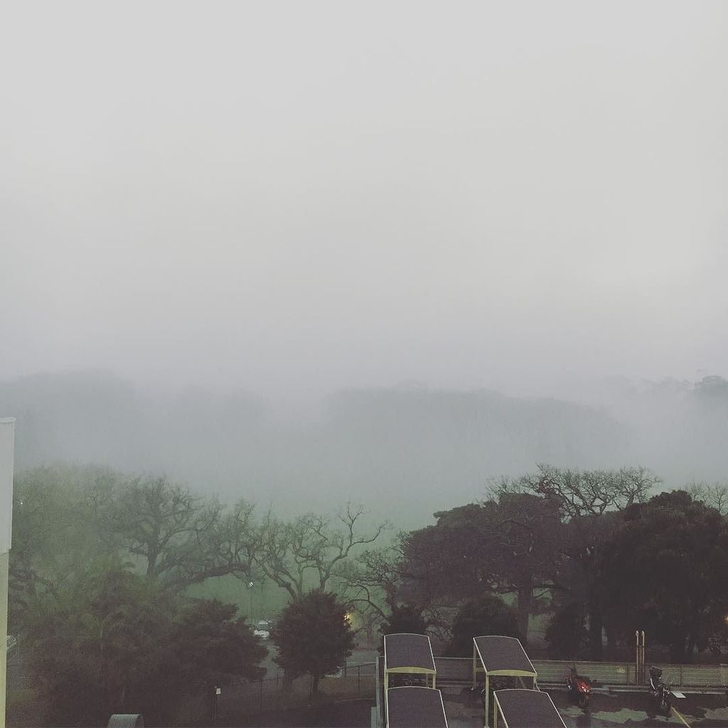 sjcnz's tweet photo. The view is a little foggy today. #roomwithaview #treatmentday #sjfightsms #multiplesclerosis #tysabri https://t.co/uADpaanMsZ