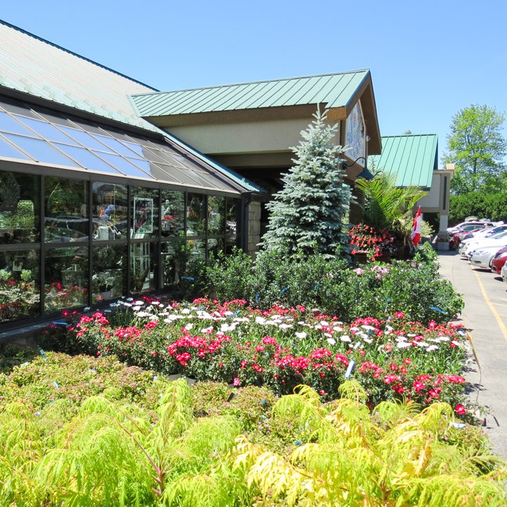 Parking lot is filling up! Offering tons of Canada Day specials starting tomorrow thru Sun! bit.ly/23bNoJc