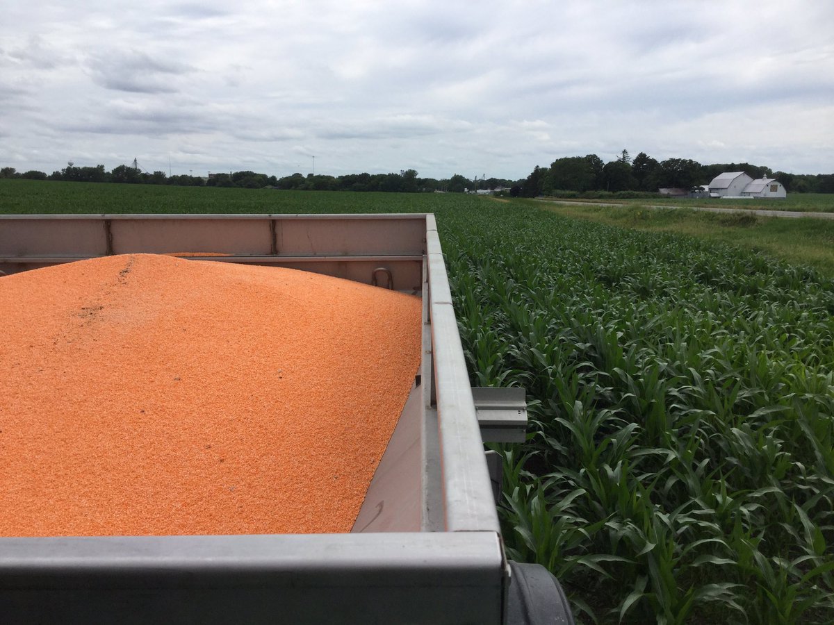 Dunkerton Coop (DunkertonCoop) Twitter