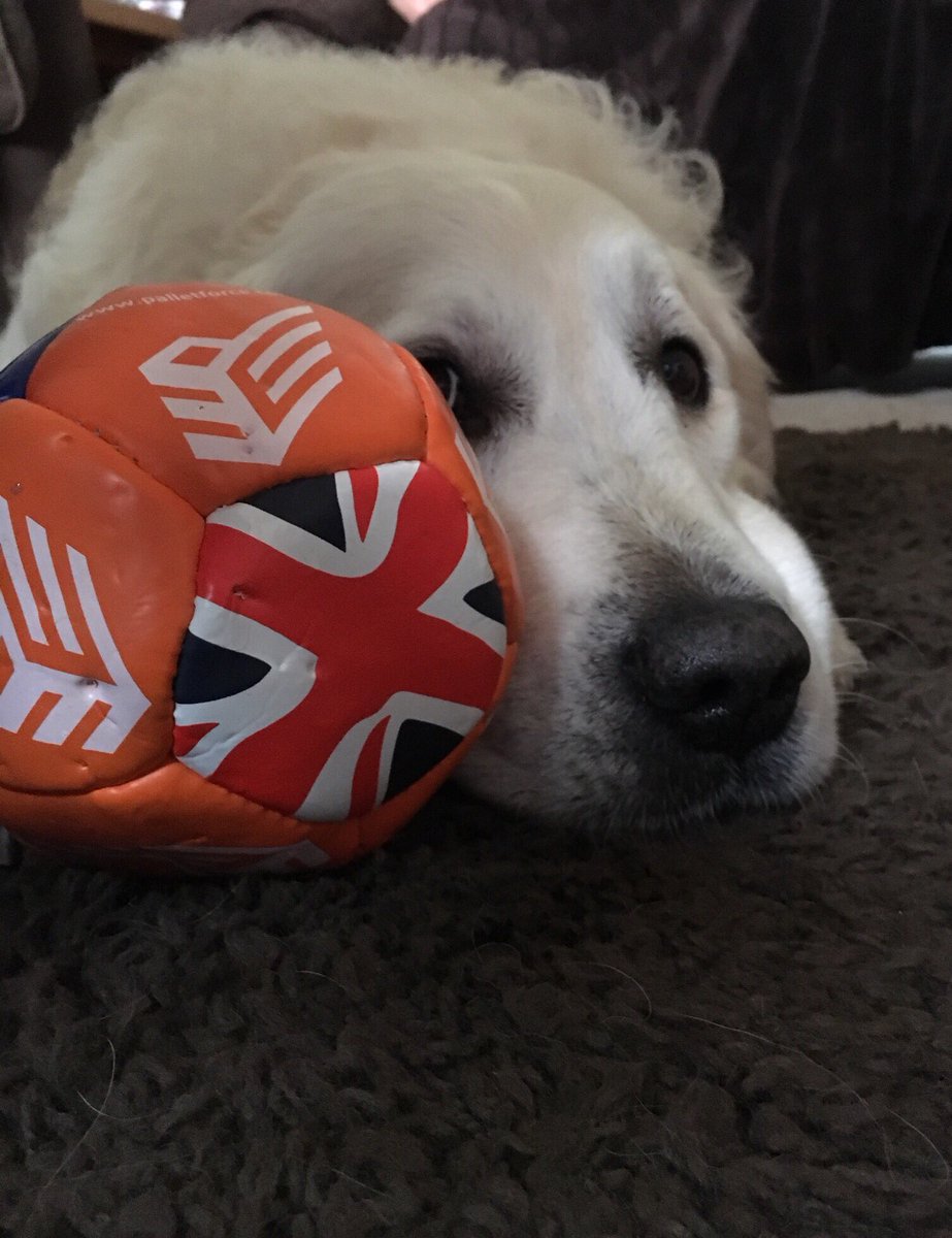 Pete Collett tweet media