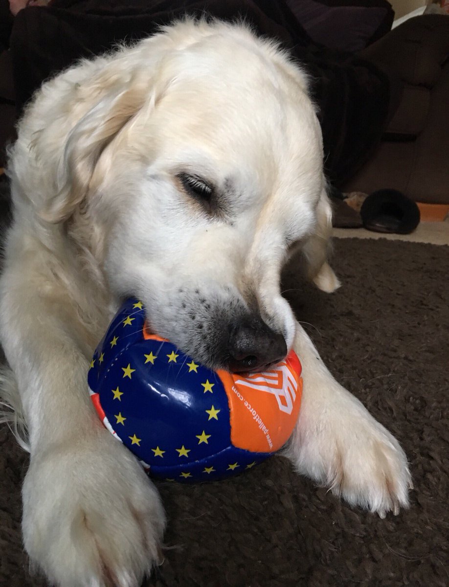 Pete Collett tweet media