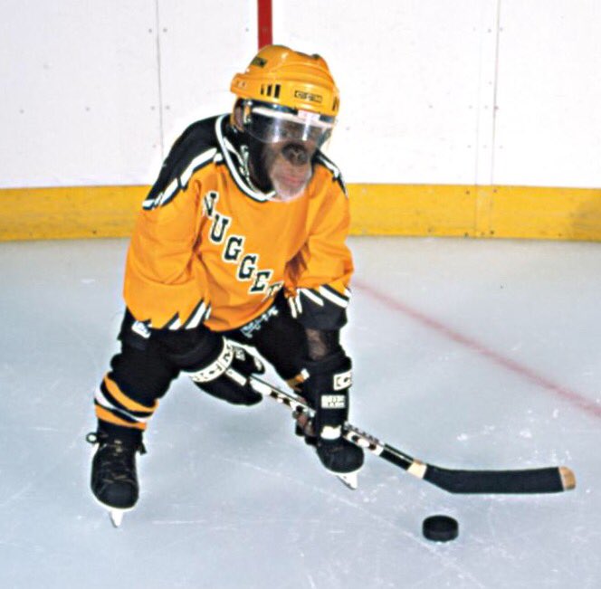 Chirp Fest Hockey tweet media