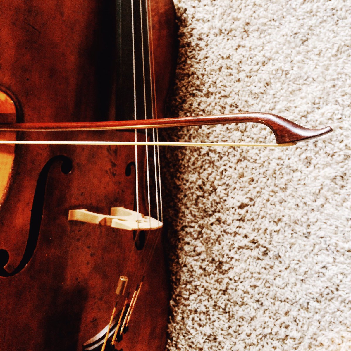 josephkuipers's tweet image. A new toy.. Feels like a fencing foil! #baroquebow #loveatfirsttouch