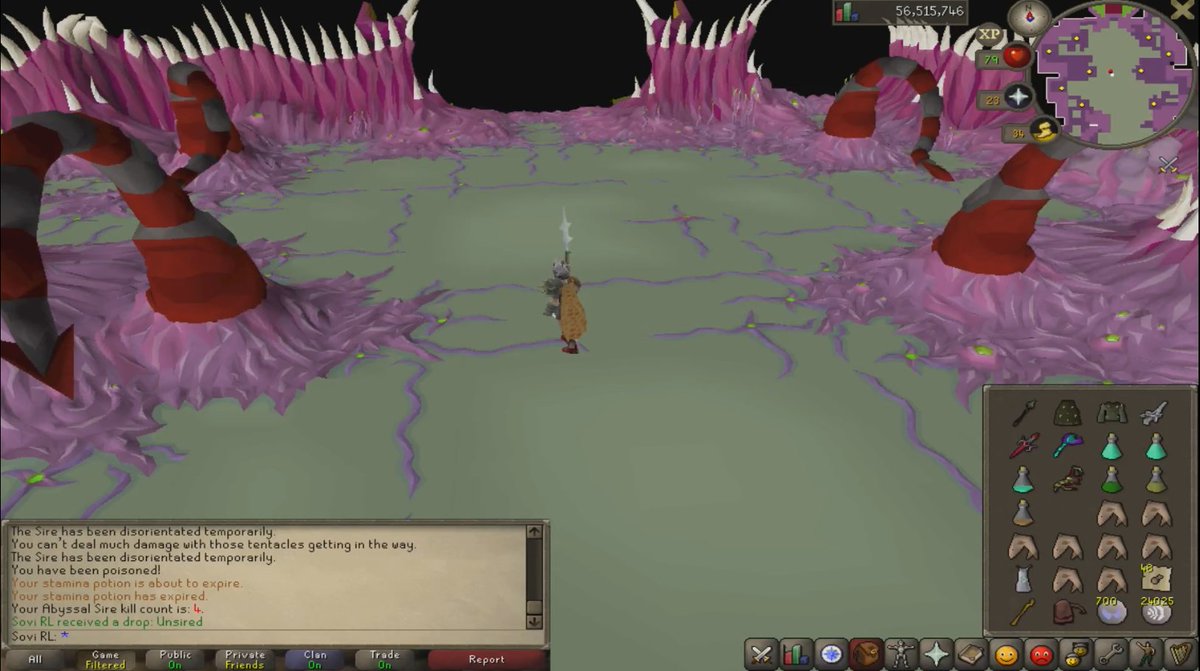 SoviRL_OSRS's tweet photo. Baia Baia aprendiendo a hacer Abyssal Sire y me sale esta drop. #SoviRL #OSRS #GamerMexicano https://t.co/0KsrlwX2az