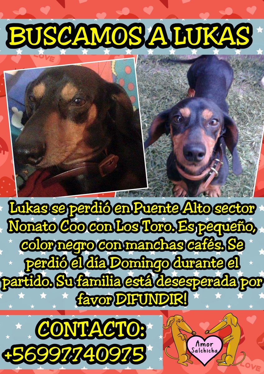 Buscamos a Lukas #PuenteAlto <a href="/lostpets_cl/">Lostpets.cl</a> <a href="/PerrosPerdidos/">PerrosPerdidos</a> <a href="/BuscoMascotacl/">BuscoMascota.cl</a> <a href="/Animalperdidocl/">Mascotas Perdidas</a> <a href="/MascotasCl/">buscando mascotas</a> <a href="/bartorell/">#SoyBartorell</a>
