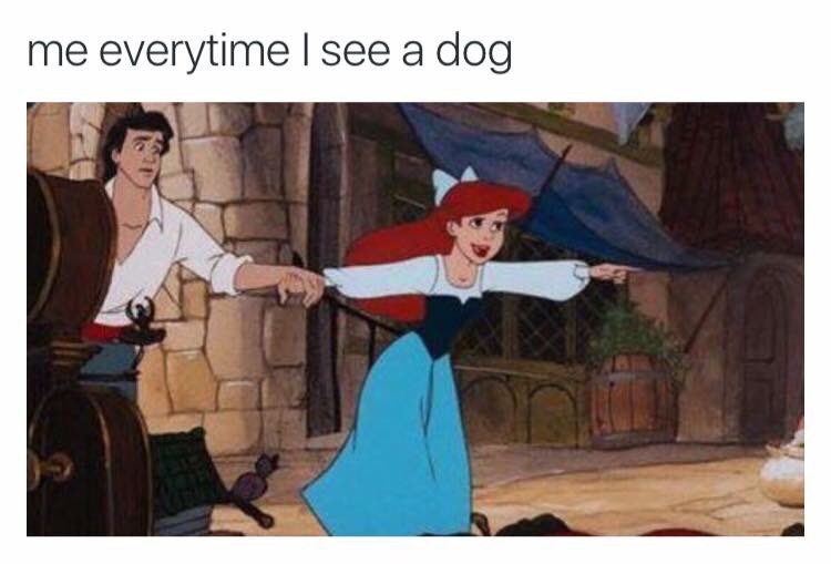 sindereIIa_'s tweet photo. Accurate https://t.co/FE0AqCvDtp