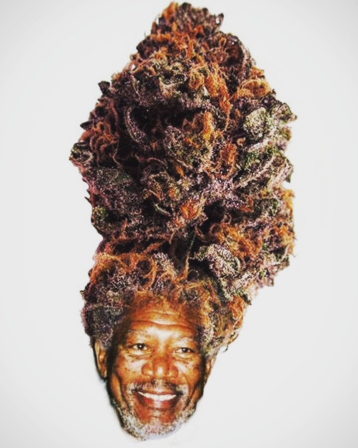 420SmokingClub's tweet photo. https://t.co/UQyfV2Ox58