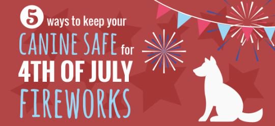 Did you know lost pets increase 30% durling July 4-6?! orv.is/29aivzt #July4th