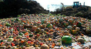 Ecogranjero's tweet photo. Desperdiciamos entre 30 y 40% d los nuestros alimentos
Mientras tanto 870 millones d personas padecen hambre cronica https://t.co/c0sFwUu5YY